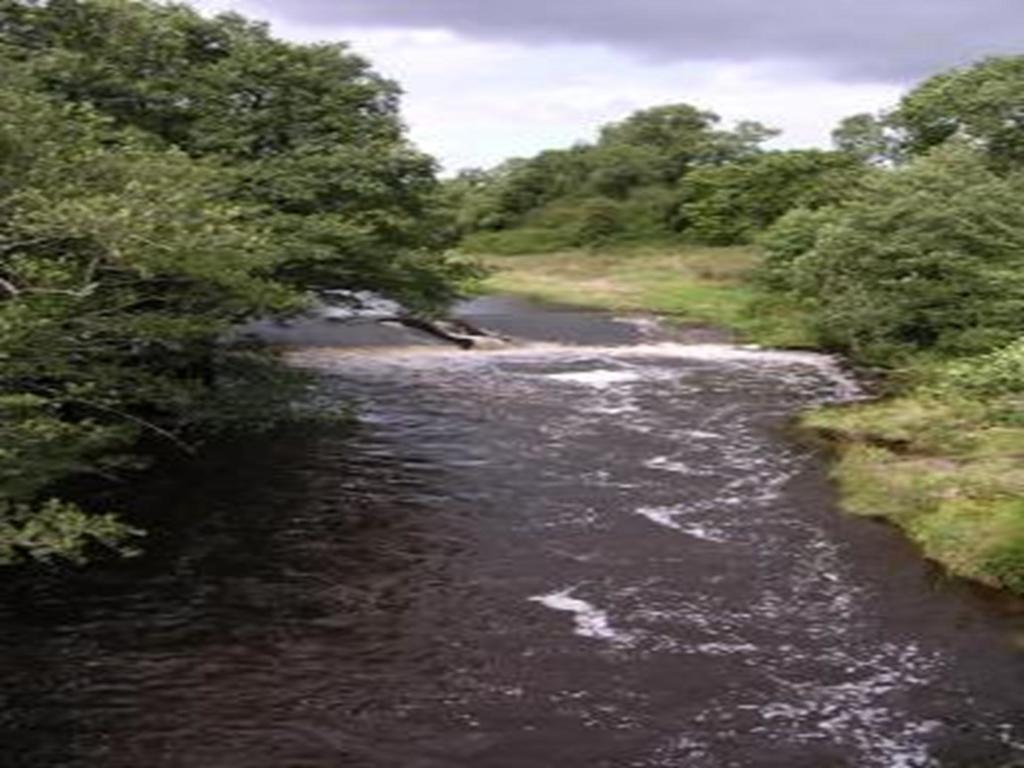 Rockfoot B&B Fintry Exterior foto